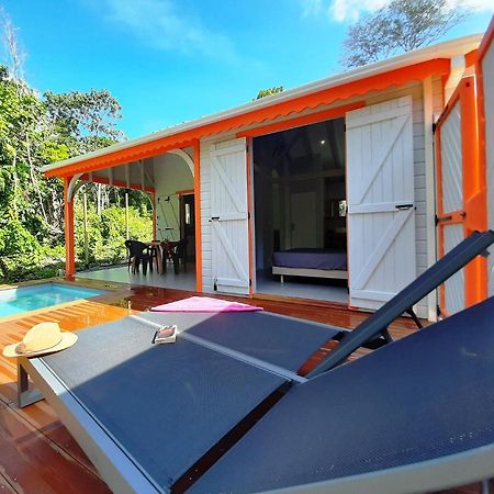 Caraibes Cottages Corail Piscine Privee A 900M De La Plage De Grande Anse Деше Экстерьер фото