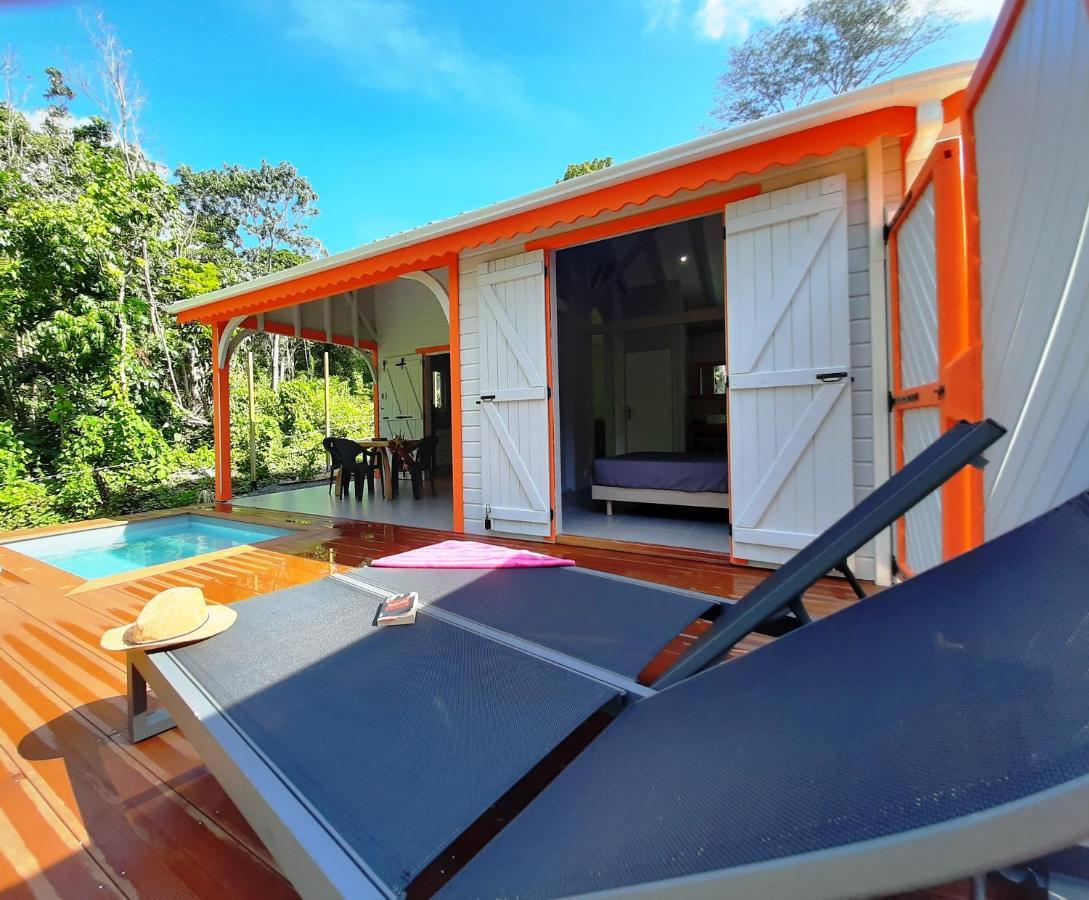 Caraibes Cottages Corail Piscine Privee A 900M De La Plage De Grande Anse Деше Экстерьер фото