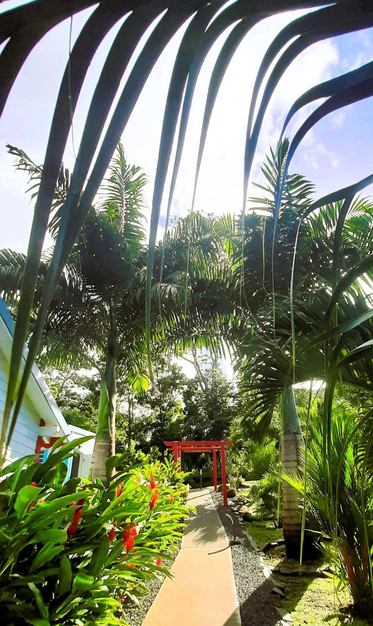 Caraibes Cottages Corail Piscine Privee A 900M De La Plage De Grande Anse Деше Экстерьер фото