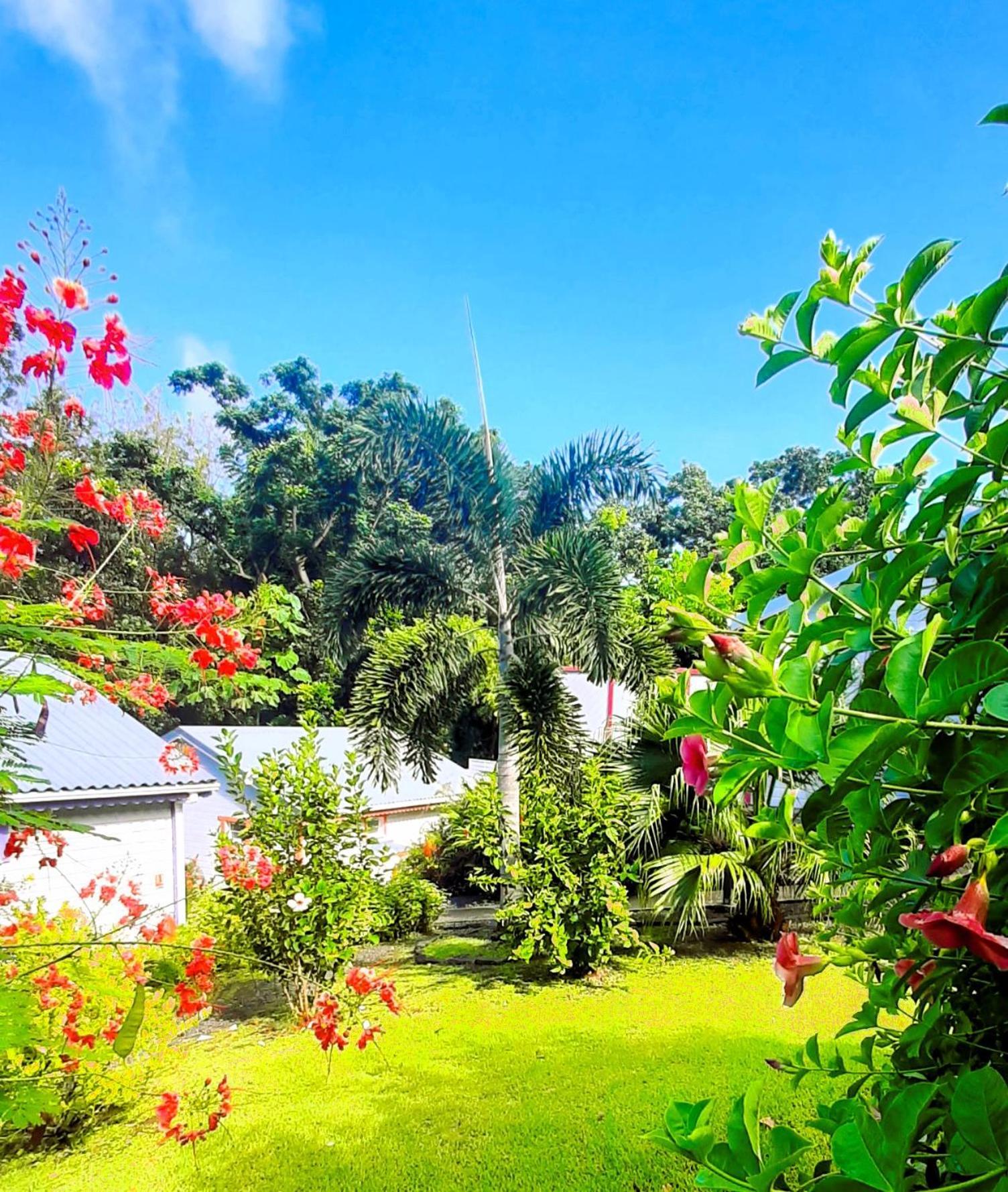 Caraibes Cottages Corail Piscine Privee A 900M De La Plage De Grande Anse Деше Экстерьер фото