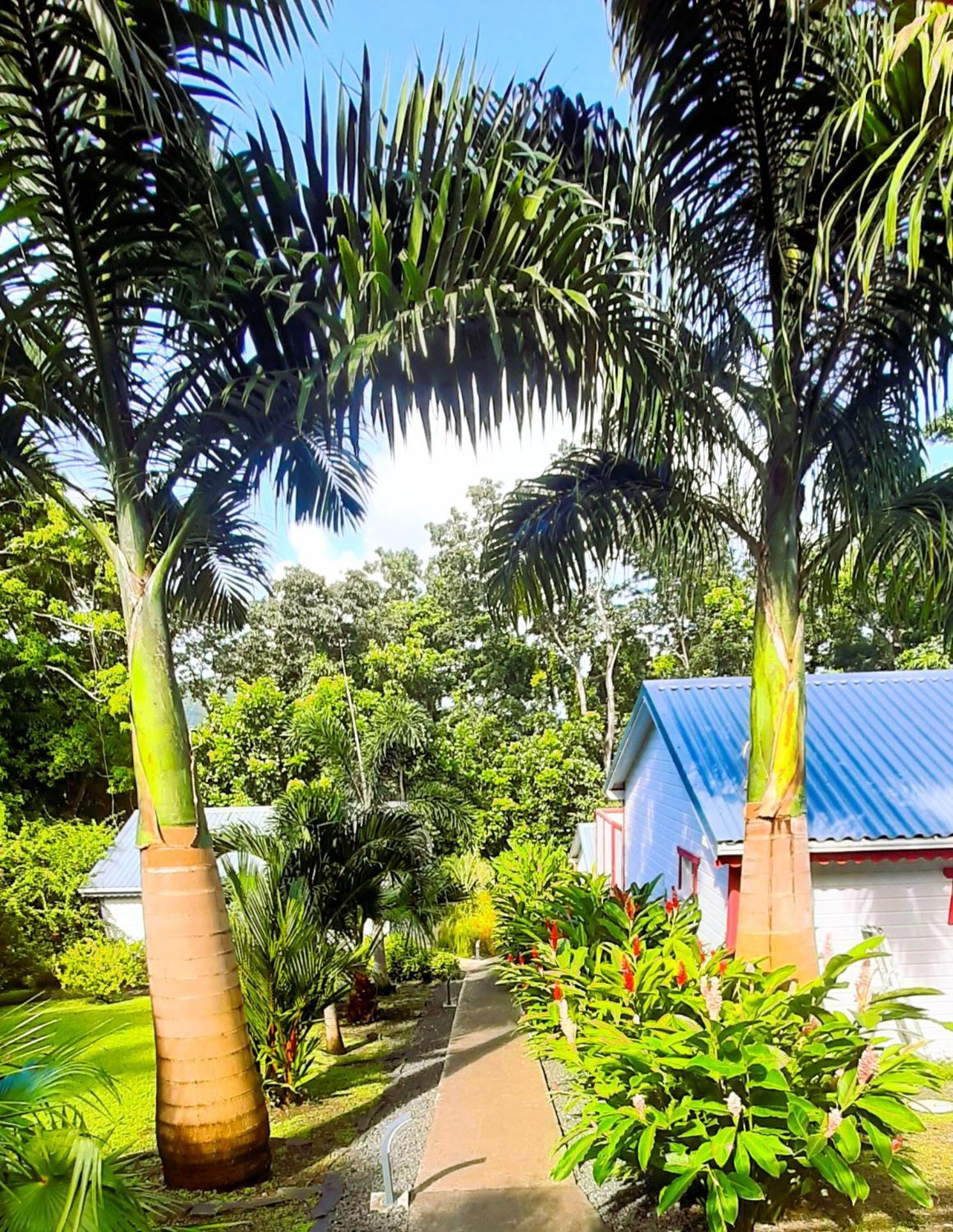 Caraibes Cottages Corail Piscine Privee A 900M De La Plage De Grande Anse Деше Экстерьер фото